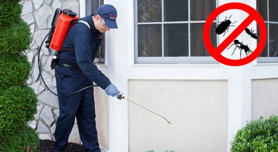 Evka 2 Dezenfeksiyon böcek ilaçlama ve haşere kontrolü — ilaclama-tr.com
